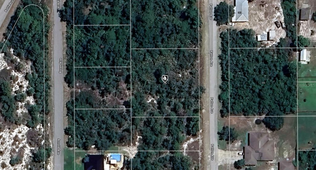 Photo of 236 Patton Avenue, Lake Placid, FL 33852 (MLS # A4671141)