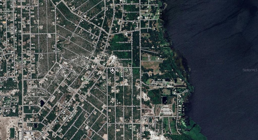 Photo of 236 Patton Avenue, Lake Placid, FL 33852 (MLS # A4671141)