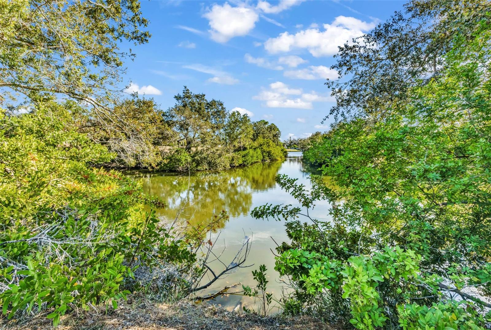 DALELAKE ESTATES - Residential