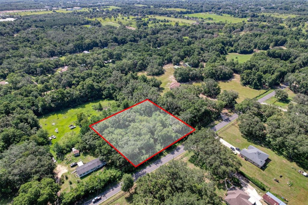 Photo of 14833 SE 80th Avenue, Summerfield, FL 34491 (MLS # TB8403402)