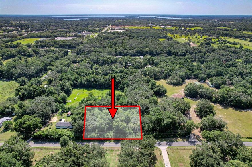 Priced to sell with a Seller Concession being offered towards clearing the land! Discover the potential of this 1-acre lot in beautiful Summerfield, Florida —an up-and-coming area in Marion County. Nestled in nature, it offers peace and privacy just minutes from The Villages and Lake Weir’s Eaton Beach for dining, swimming, and outdoor fun. Enjoy nearby access to Ocala National Forest, Silver Springs, Rainbow Springs, and more. Centrally located between Ocala, Orlando, Gainesville, and Jacksonville, with schools from Pre-K to 12th grade just 0.5–6.3 miles away. A prime spot for your dream home or investment! This lot is zoned both Residential R1 and Agricultural A1 allowing for up to 2 homes, private paved road, a mobile/RV type home, and up to 4 large animals including horses or cows, along with other animals such as goats, chickens or domestic pets.