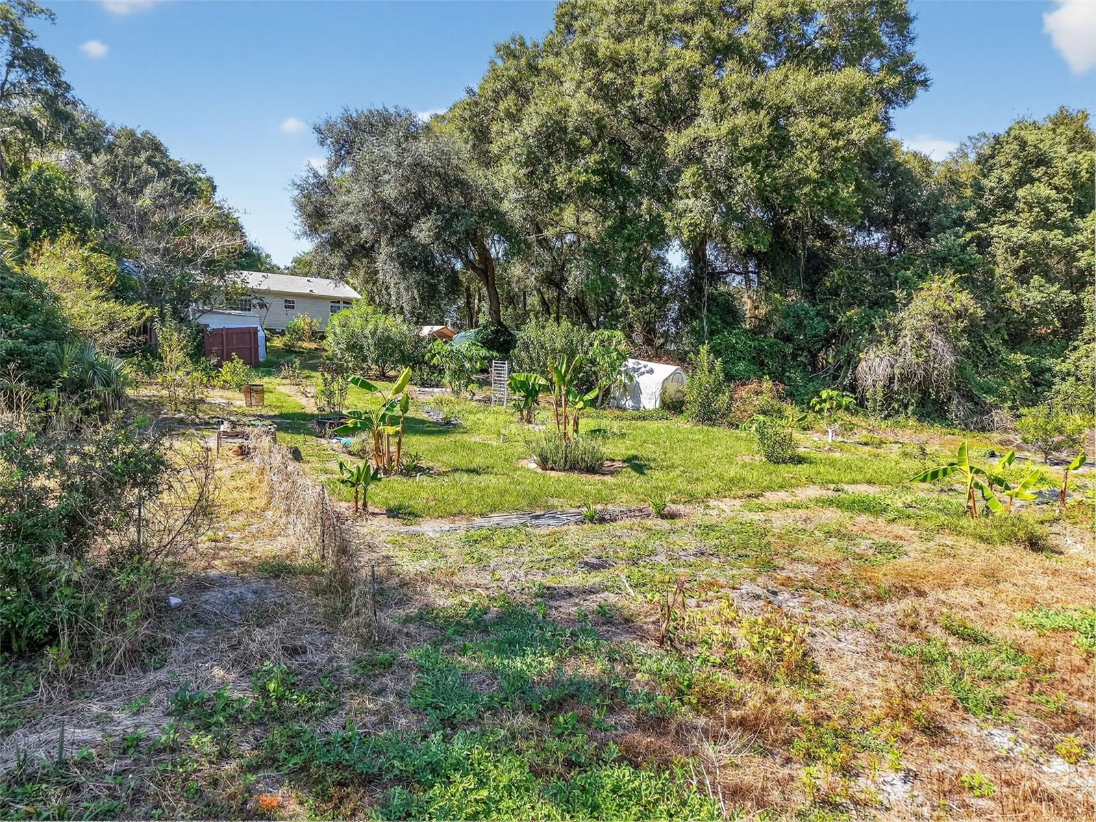 WOODS & LAKES - Residential