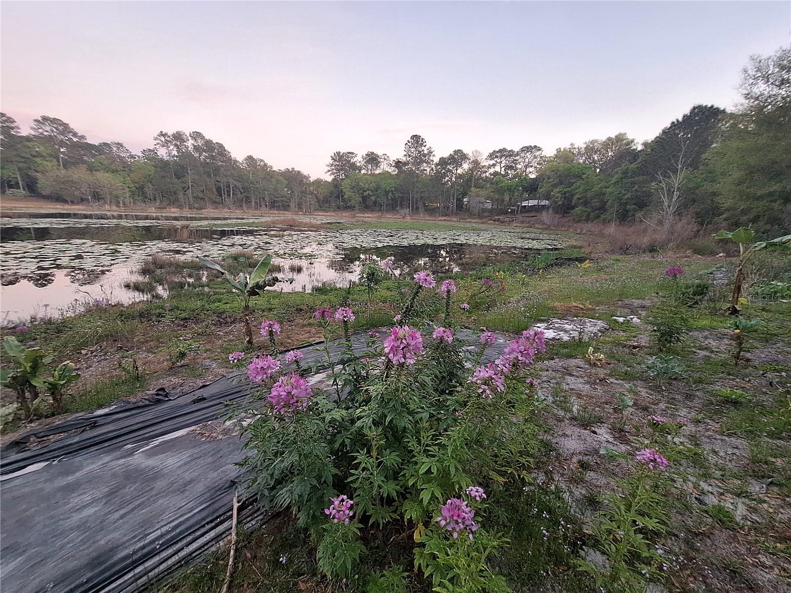 WOODS & LAKES - Residential