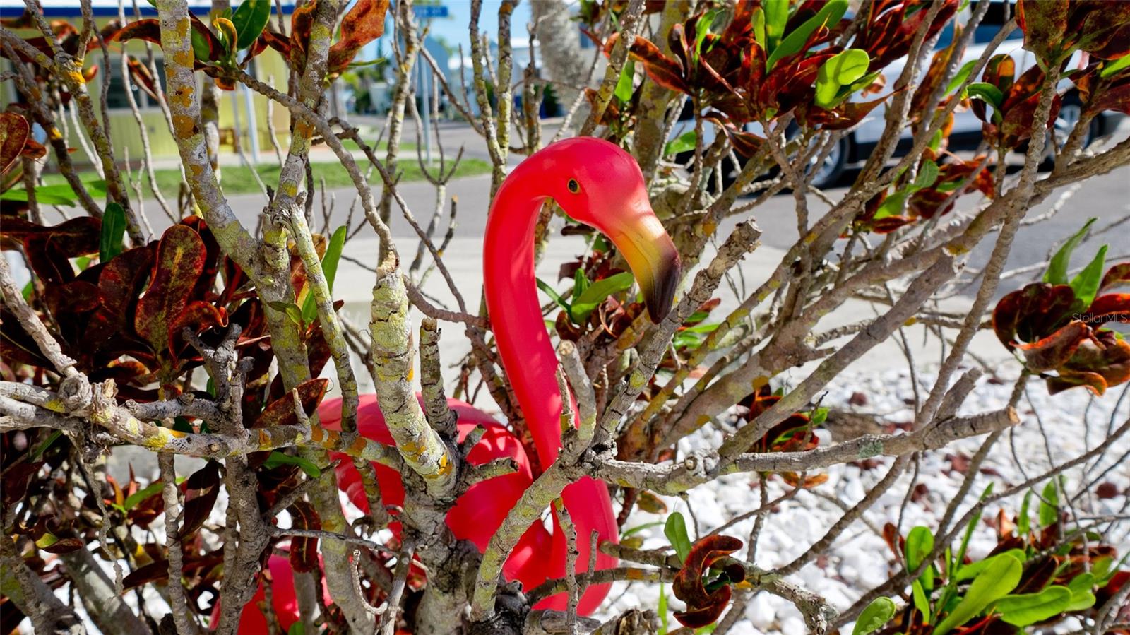 PARADISE BAY ESTATES CO-OP - Residential