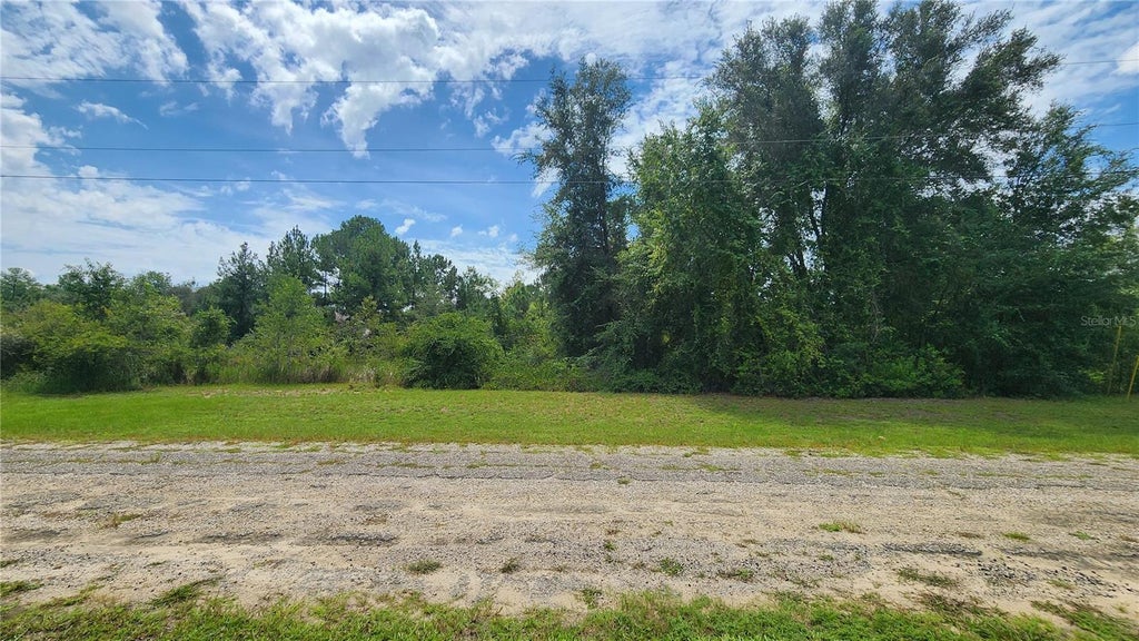 Photo of 608 E Irene Lane, Citrus Springs, FL 34434 (MLS # OM732551)