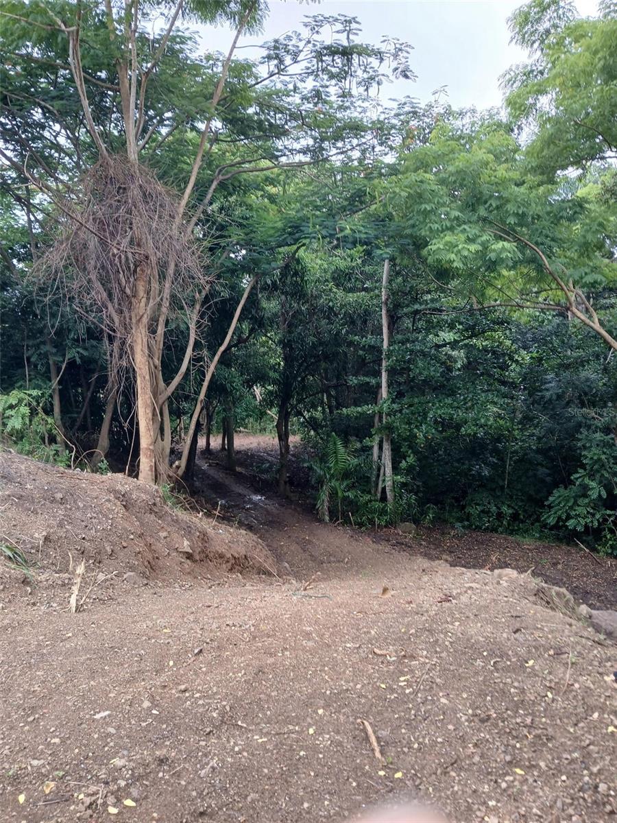 BARRERO STREET