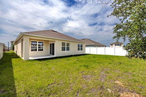 Single Family Residence in TAVARES FL 2705 LILYTURF COURT 24.jpg