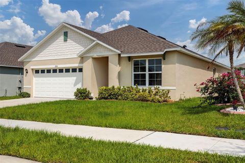Single Family Residence in TAVARES FL 2705 LILYTURF COURT 25.jpg