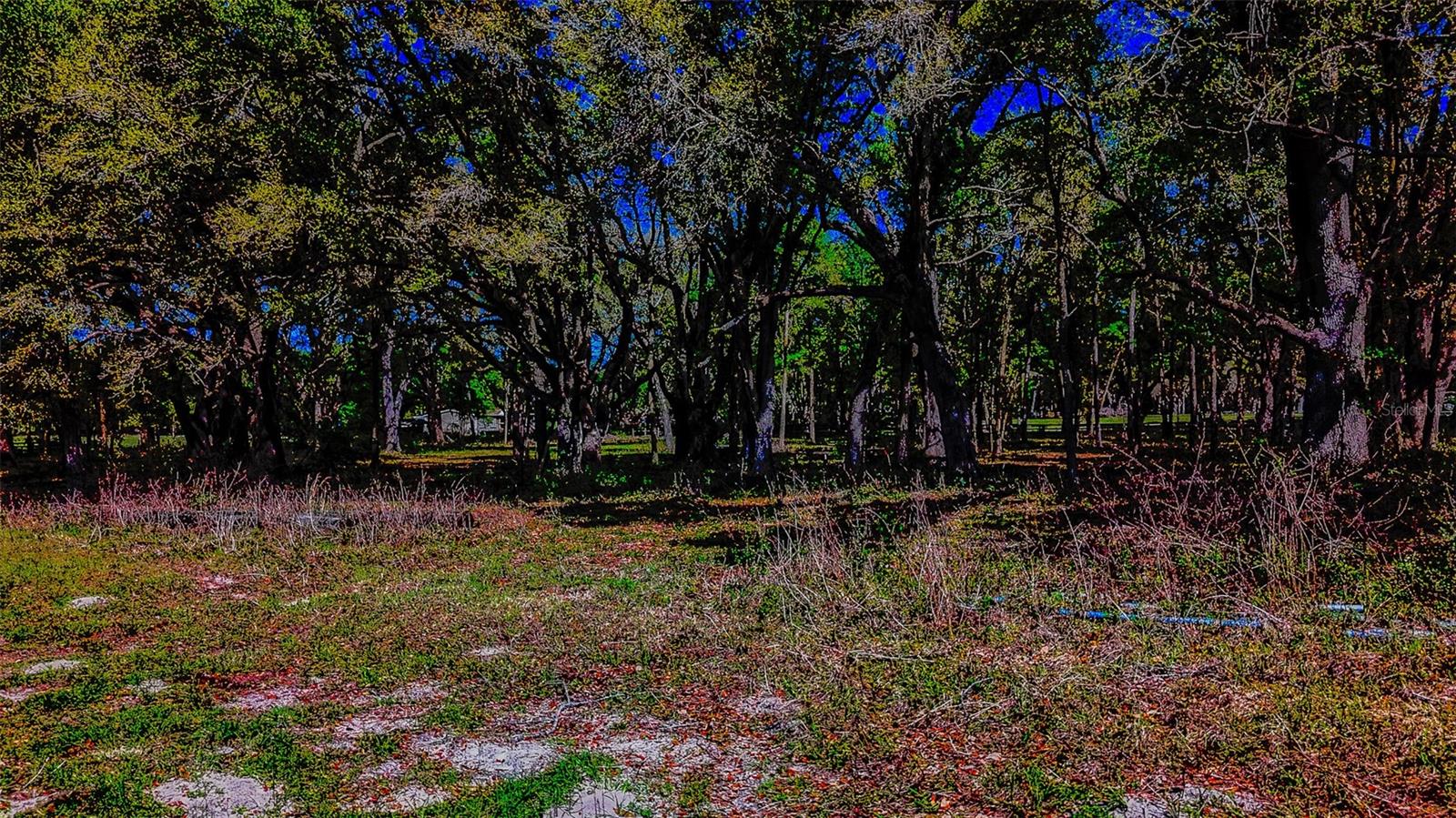 HOMESTEAD RANCHES - Land