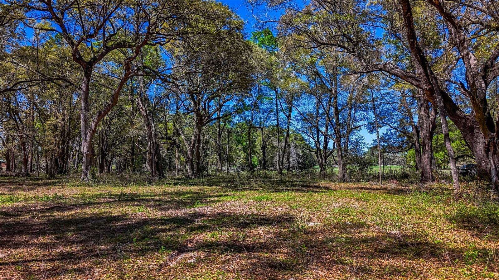 HOMESTEAD RANCHES - Land