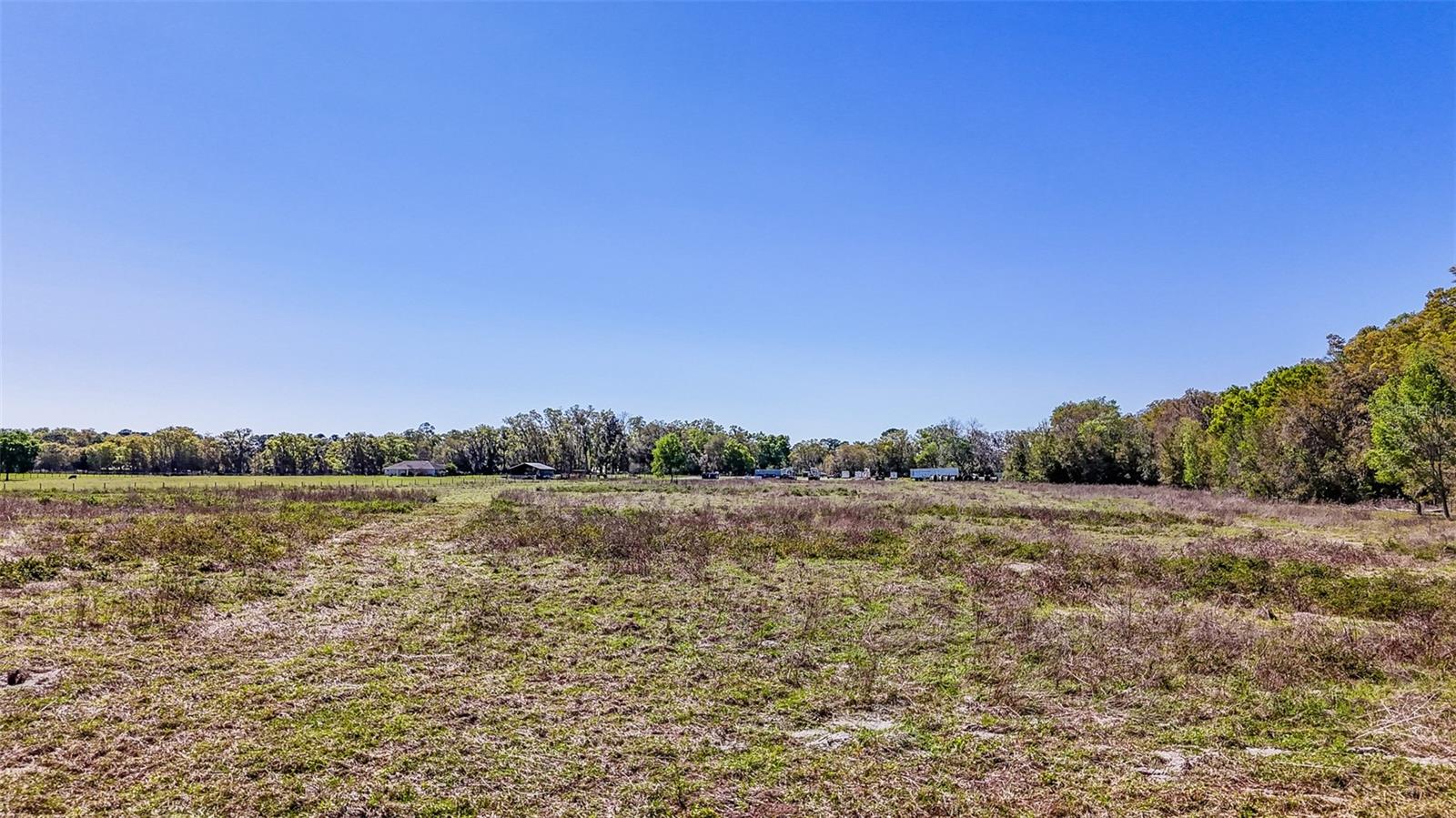 HOMESTEAD RANCHES - Land