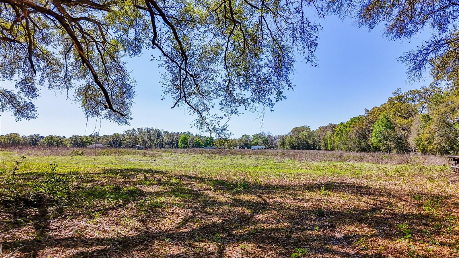 HOMESTEAD RANCHES - Land