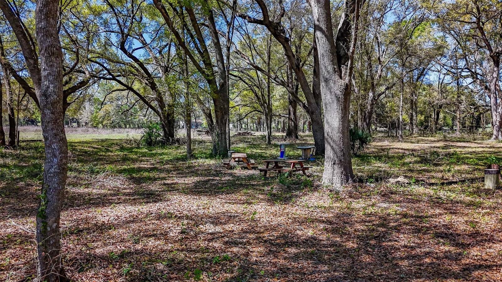 HOMESTEAD RANCHES - Land