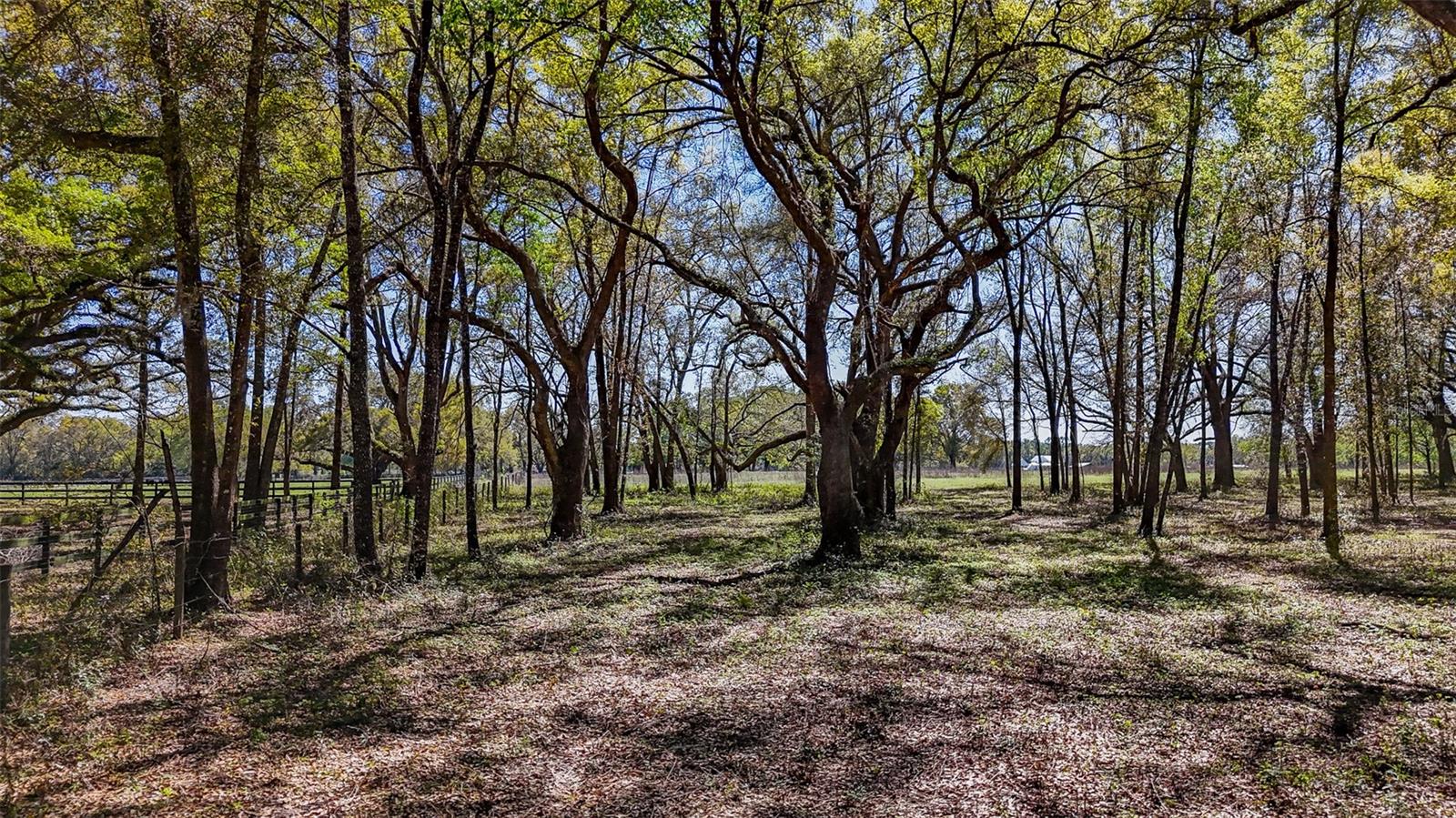 HOMESTEAD RANCHES - Land