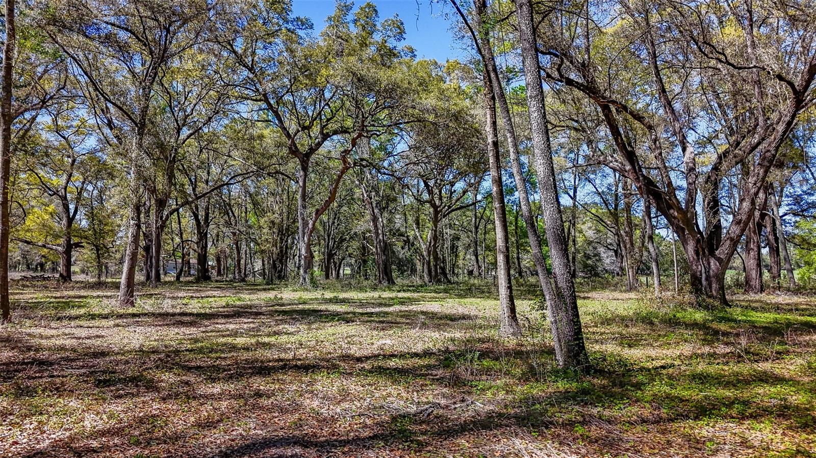 HOMESTEAD RANCHES - Land