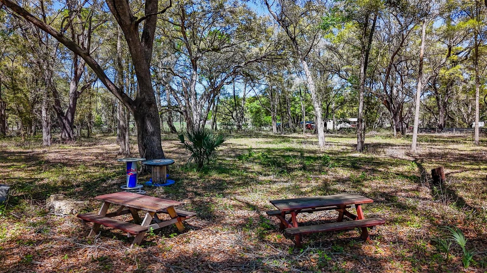 HOMESTEAD RANCHES - Land