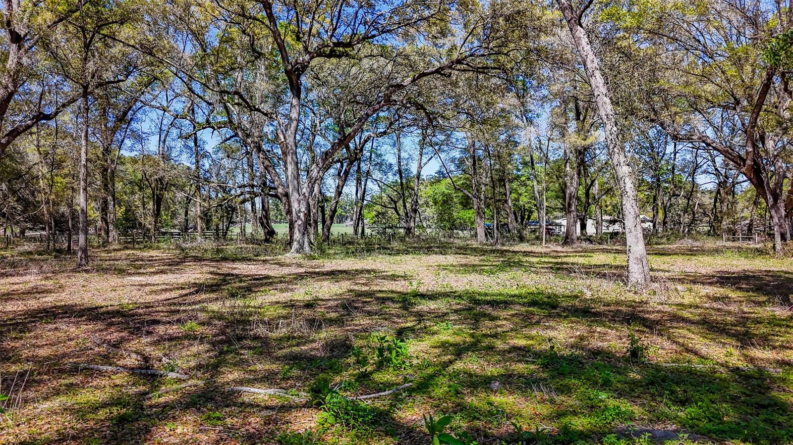 HOMESTEAD RANCHES - Land