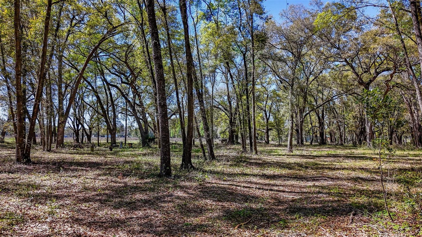 HOMESTEAD RANCHES - Land