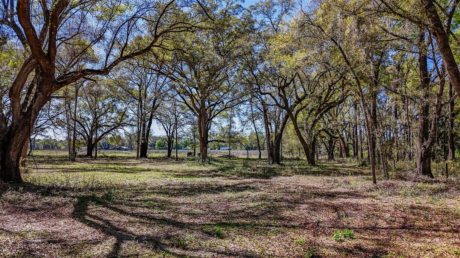HOMESTEAD RANCHES - Land
