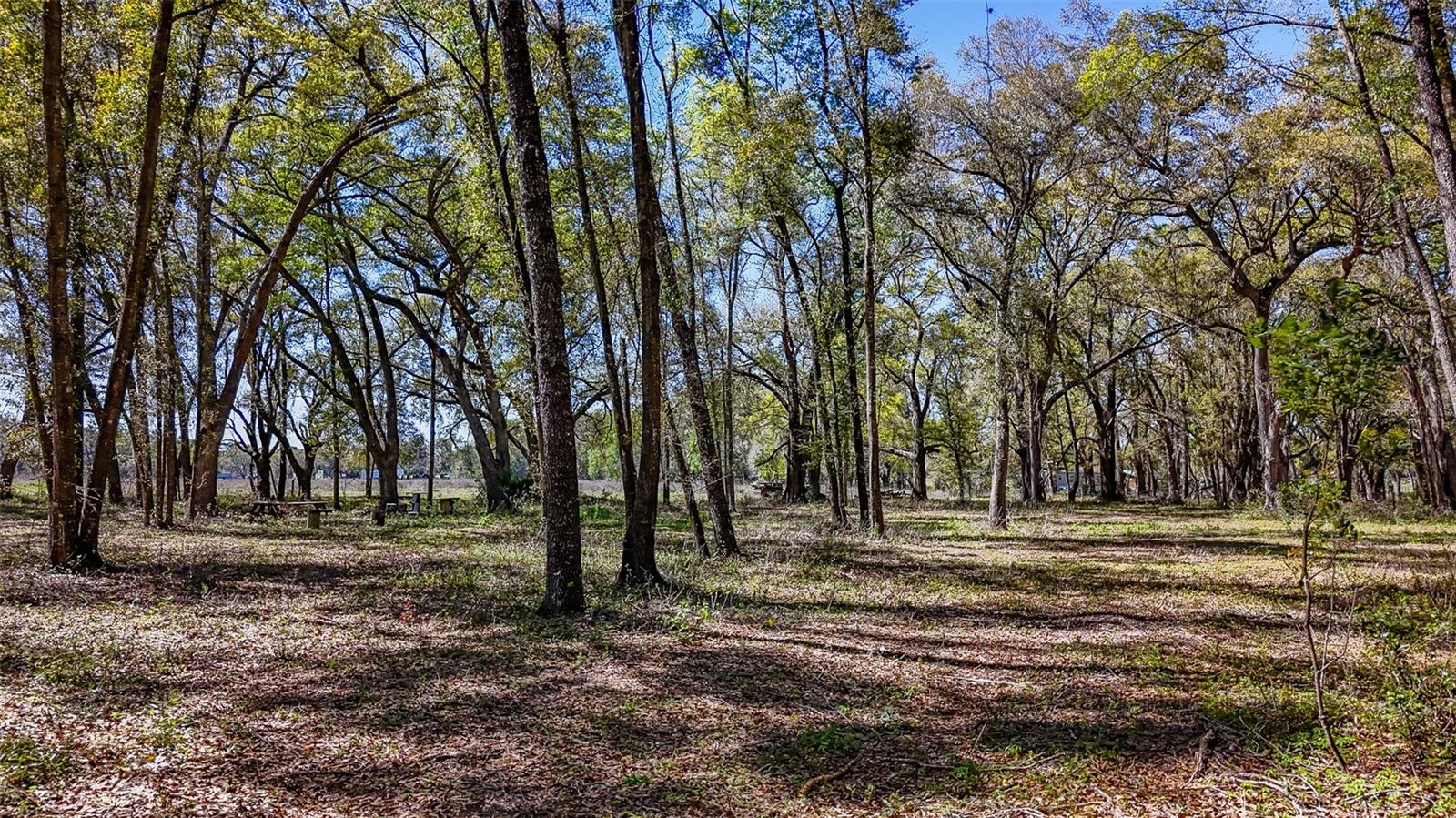 HOMESTEAD RANCHES - Land