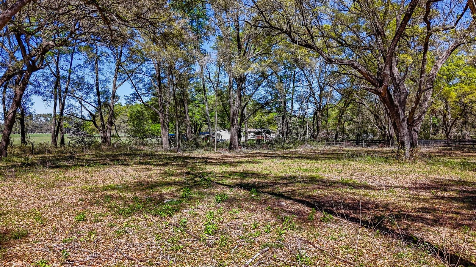 HOMESTEAD RANCHES - Land