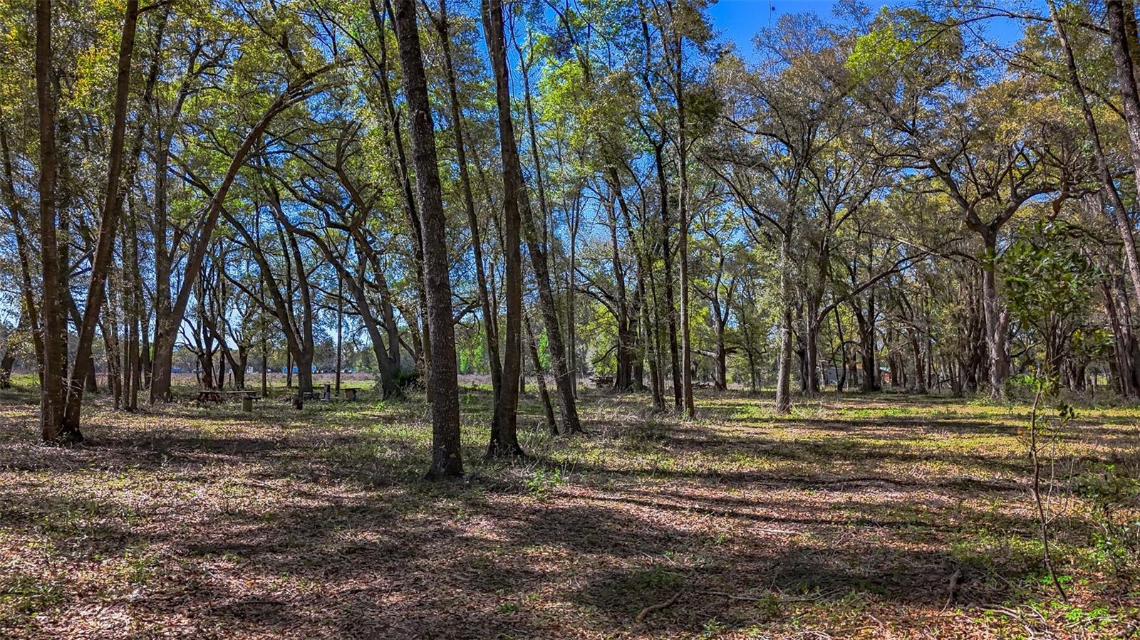 HOMESTEAD RANCHES - Land