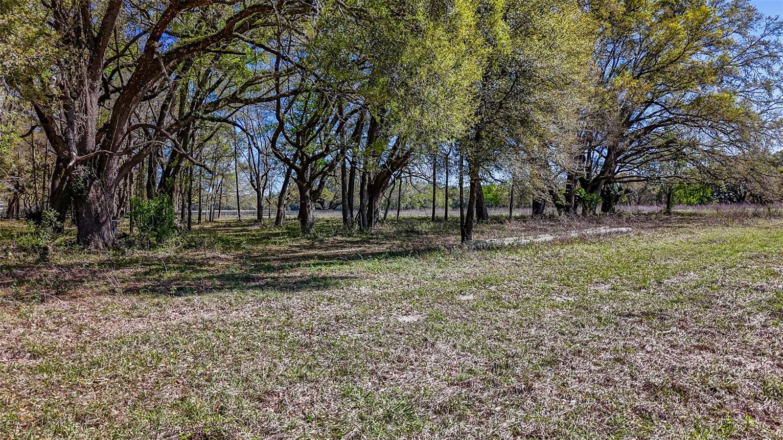 HOMESTEAD RANCHES - Land