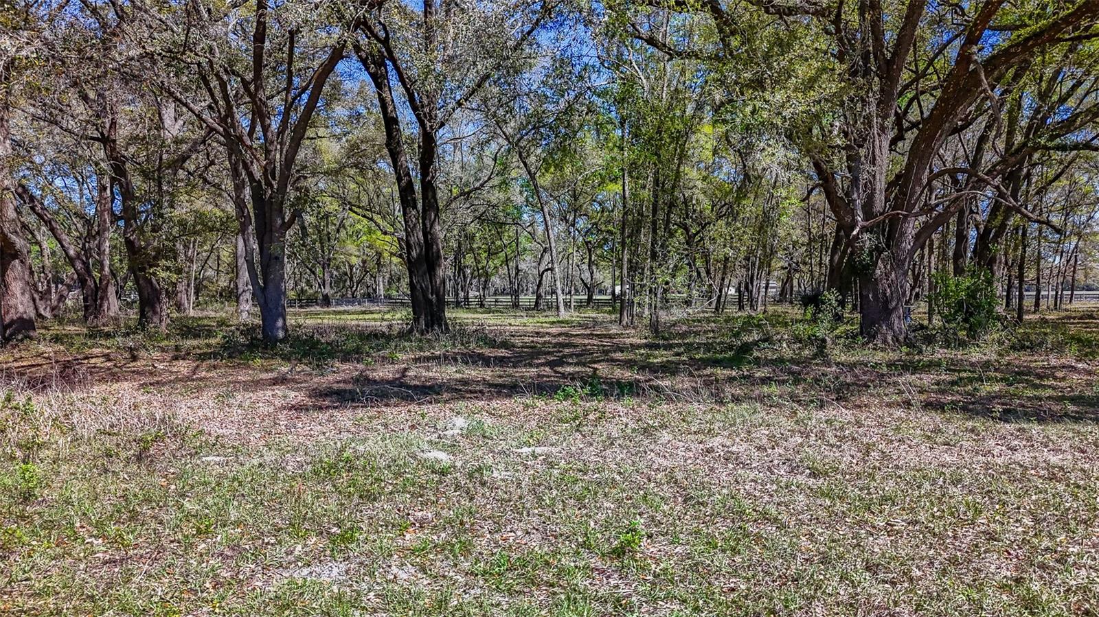 HOMESTEAD RANCHES - Land