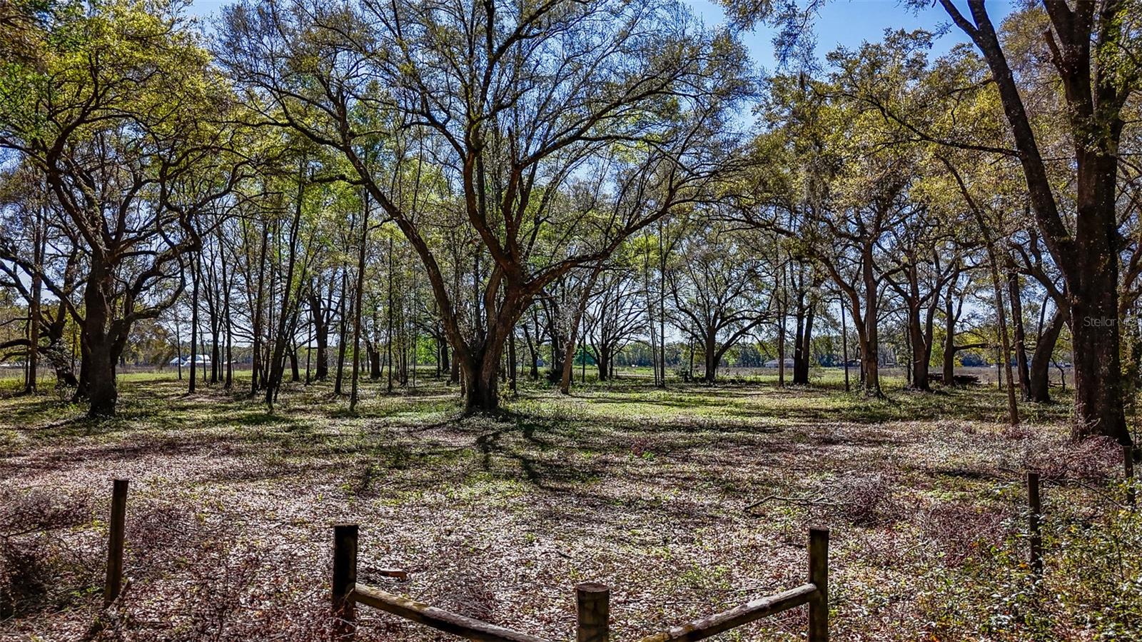 HOMESTEAD RANCHES - Land