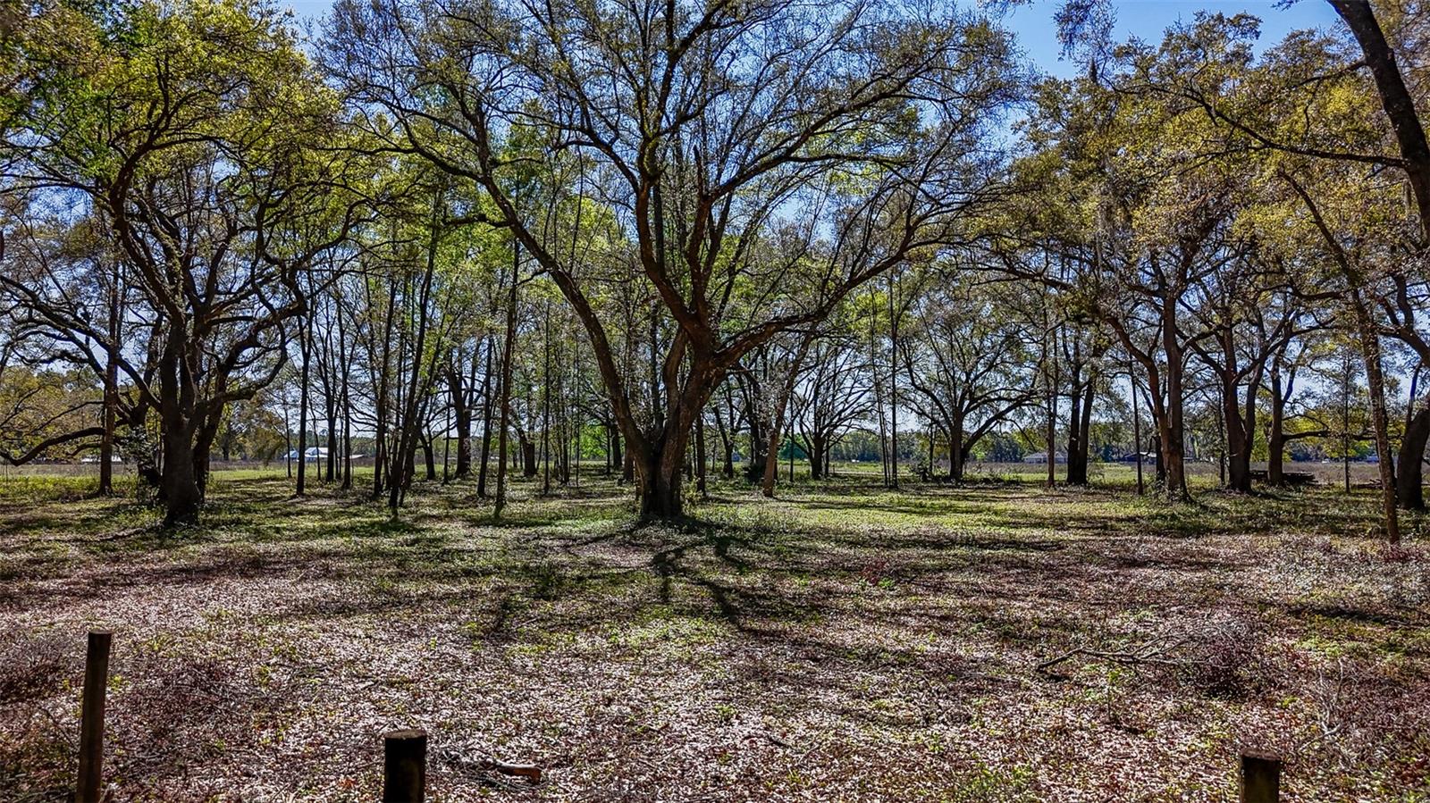 HOMESTEAD RANCHES - Land