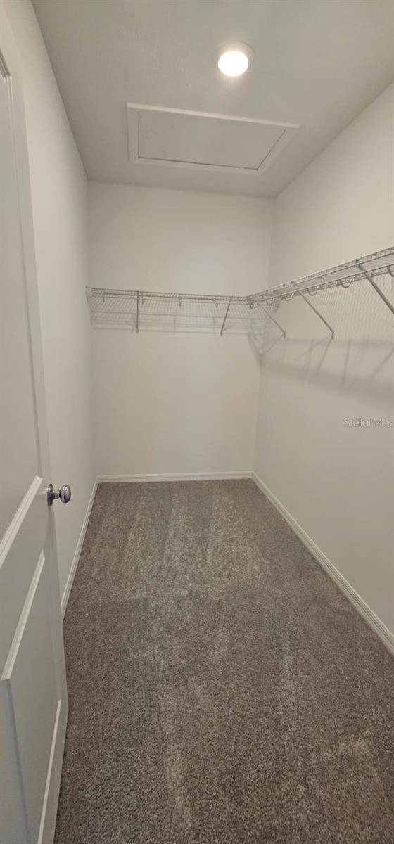 MARION CREEK - Residential Lease