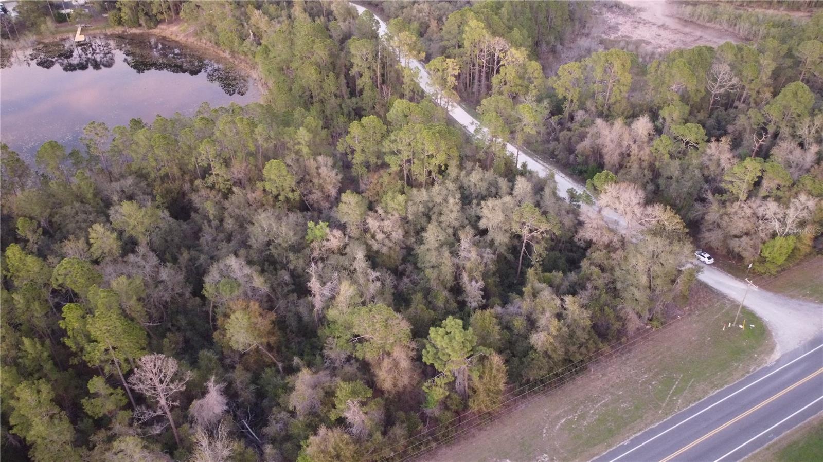 Motivated Seller!! Prime Real estate along S.R. 40 East located on the corner of SR 40 and SE 179th Ave. Your right on the route between Ocala and Daytona (50 miles E.) This property is zoned B-4 and consists of 2 lots totaling 1.10 acres. Permitted for Commercial upfront and you can build a residence in the rear with a great view of Lake Virginia. Take advantage of the busy roadway with many customers passing by daily. Electricity is available running the length of the property. Within the interior, virgin Southern Live Oak abound. It could be a beautiful Estate once brush is cleared out, and take advantage of the lake frontage in the rear.