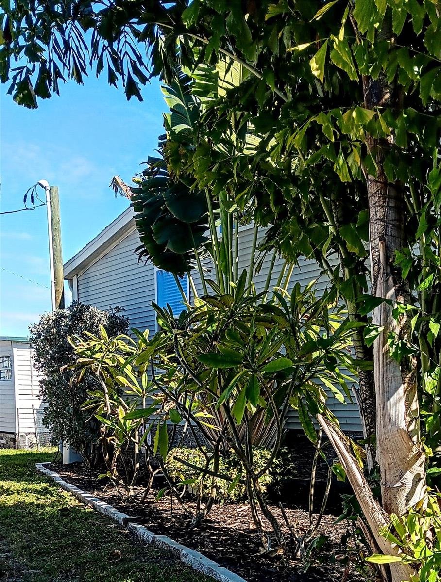 HOLIDAY VILLAGE CO-OP M/H UNREC - Residential