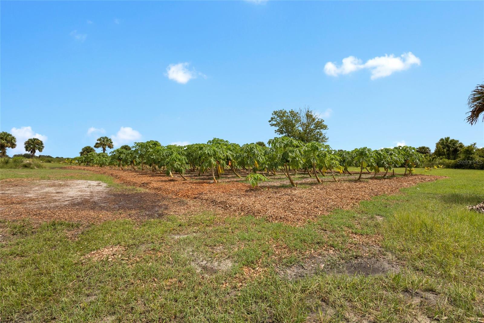 OKEECHOBEE COUNTY - Land