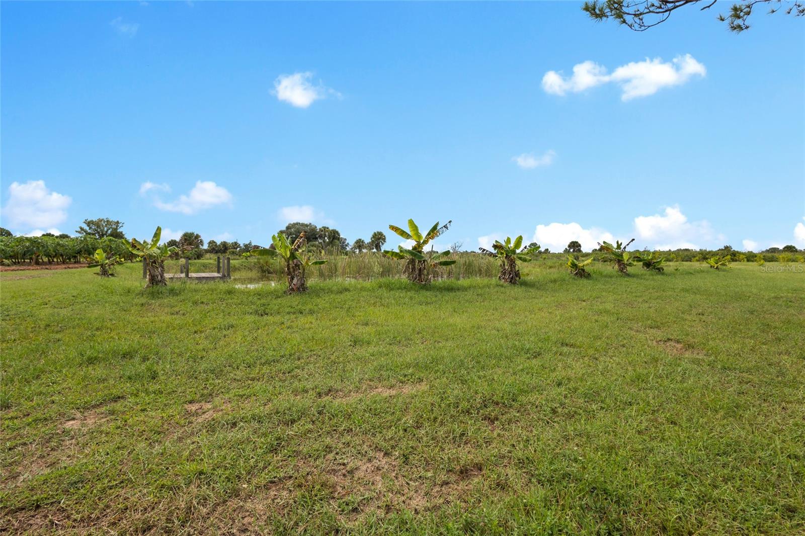 OKEECHOBEE COUNTY - Land