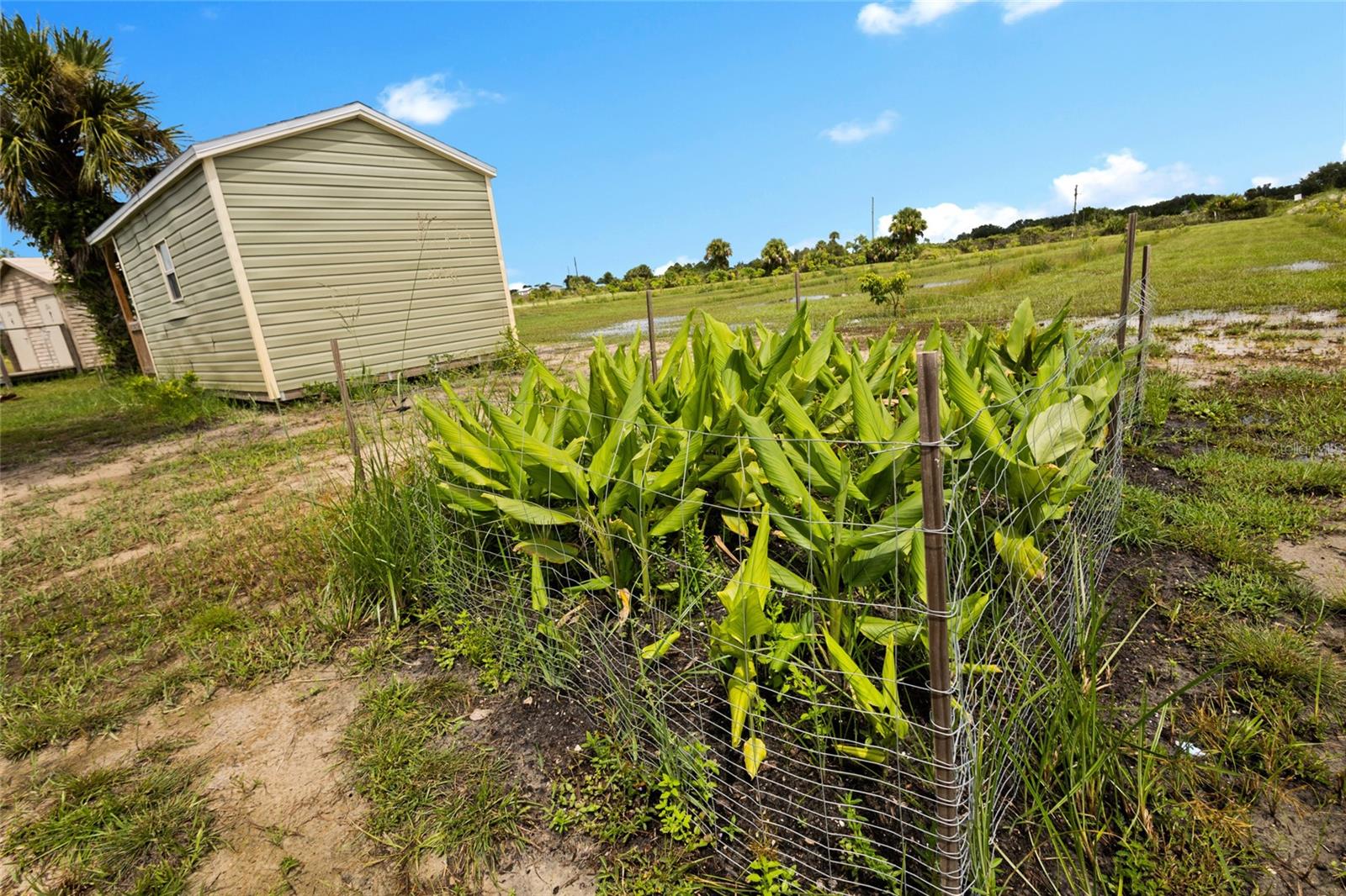 OKEECHOBEE COUNTY - Land