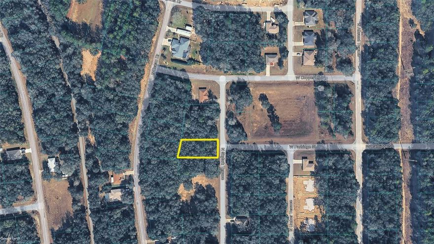 Build your dream home on this spacious residential lot located in desirable Citrus Springs. Offering approximately 0.32 acres, this property is situated on a quiet street in a growing community with new and existing homes. This Lot provides the perfect opportunity for a custom build with plenty of room for outdoor living. Enjoy convenient access to nearby shopping, dining, and recreation, with the Gulf Coast just a short drive away. A great investment or future homesite with endless potential.