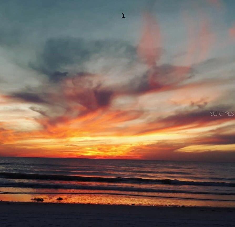 BETTY DREW APTS CO-OP - Residential