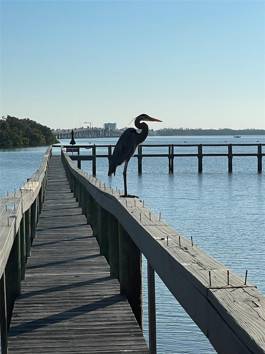 SUNBOW BAY PHASE 1 - Residential
