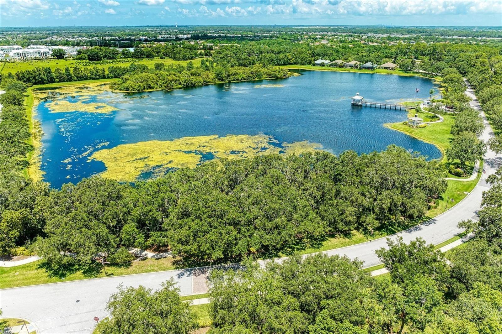 FOREST CREEK PH III - Residential