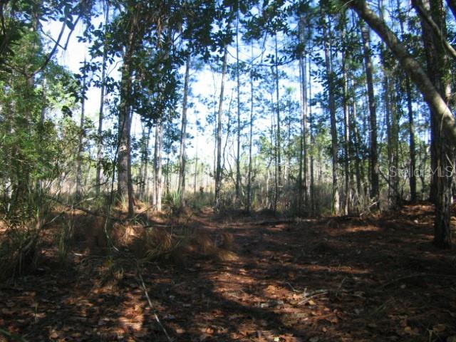 ROYAL TRAILS UNIT 01 - Land