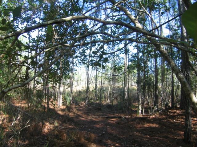 ROYAL TRAILS UNIT 01 - Land