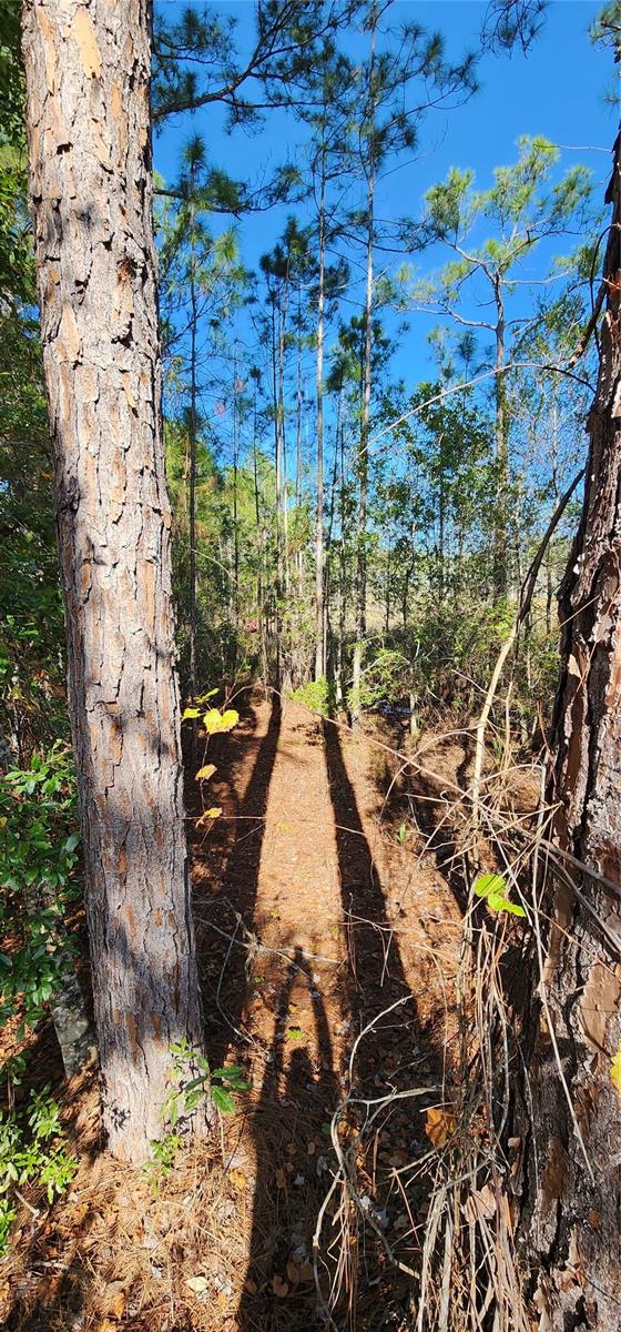 ROYAL TRAILS UNIT 01 - Land