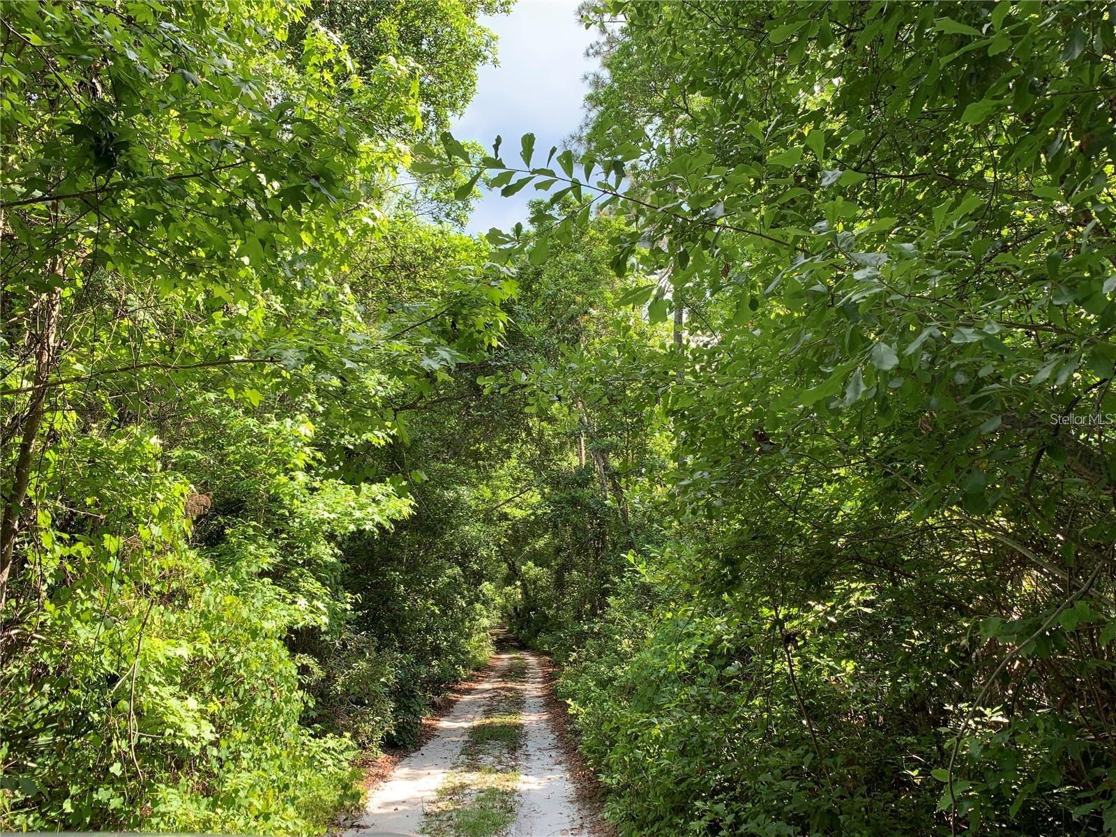 ROYAL TRAILS UNIT 01 - Land