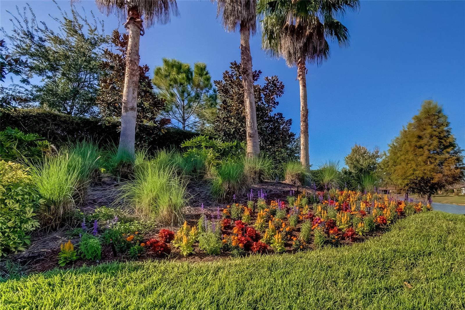 ESPLANADE/STARKEY RANCH PH 3 - Residential