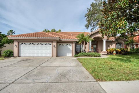 A home in PALM HARBOR