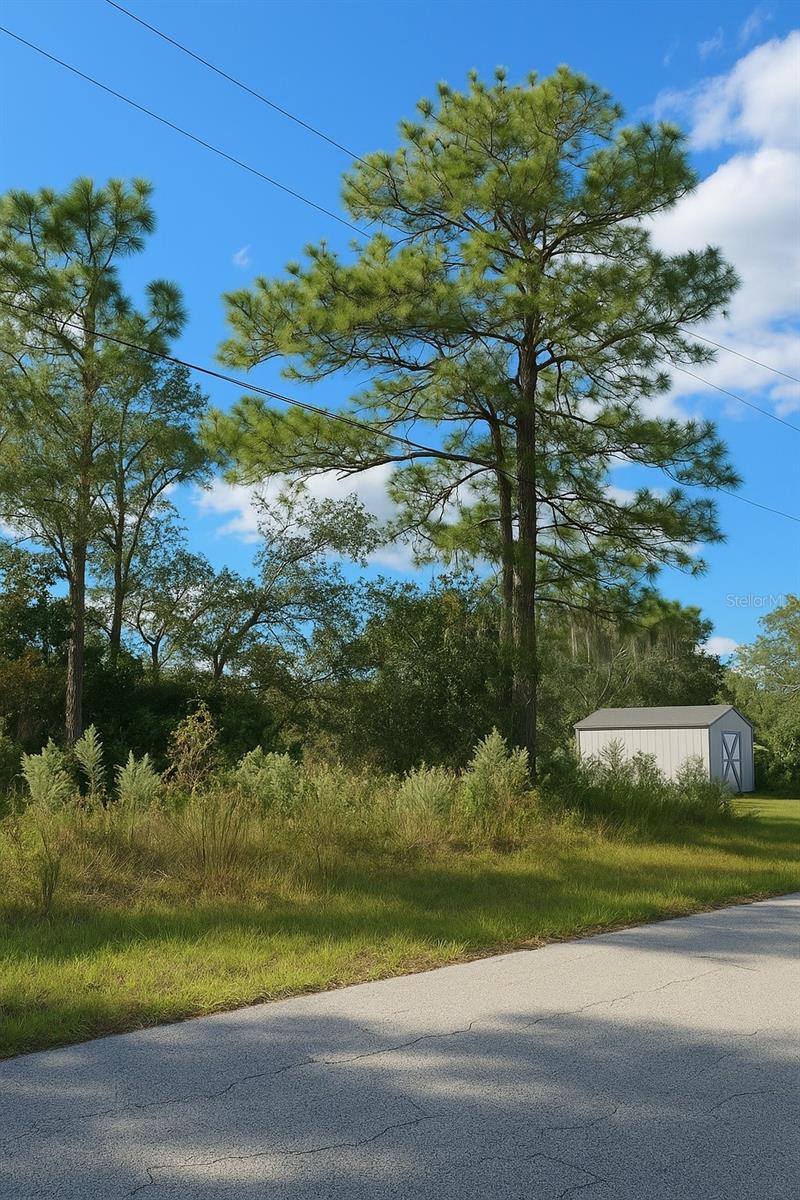 CITRUS SPGS UNIT 07 - Land