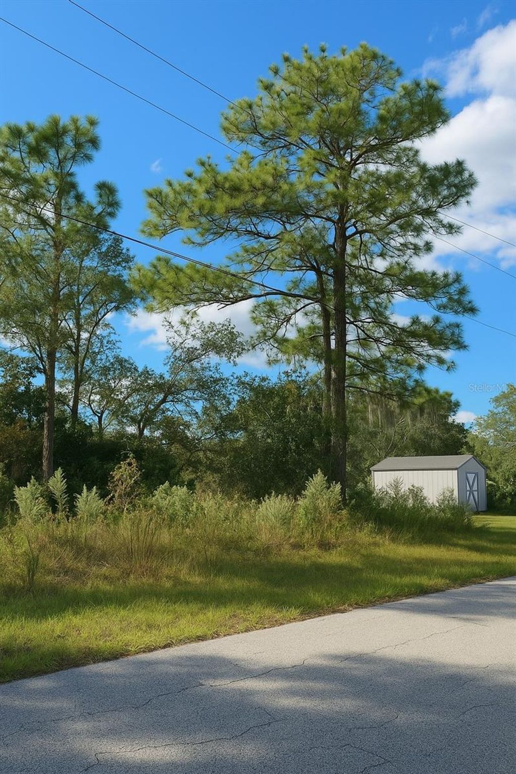 Photo of 7800 N Primrose Drive, Citrus Springs, FL 34434 (MLS # TB8438862)