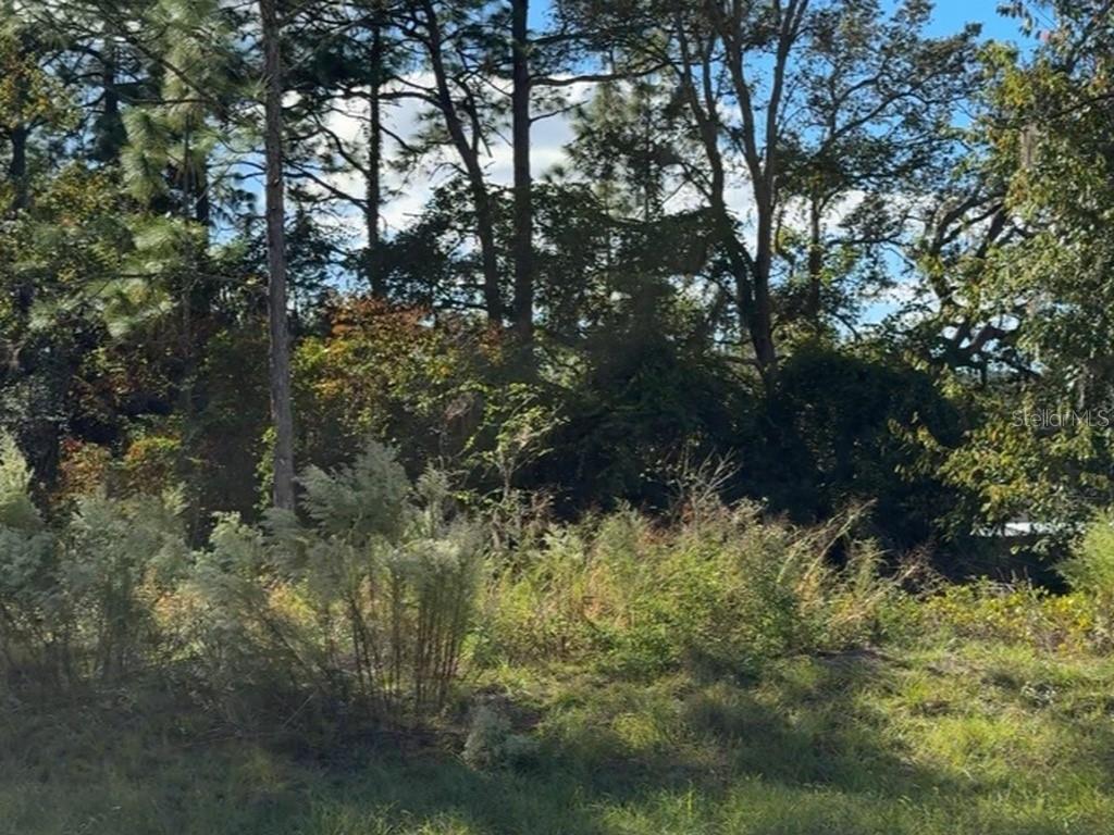 CITRUS SPGS UNIT 07 - Land