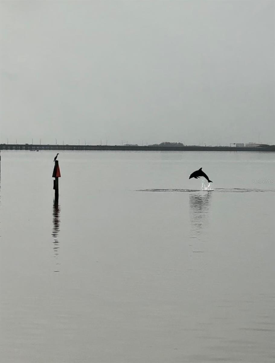 GRAND BELLAGIO AT BAYWATCH CONDO THE - Residential